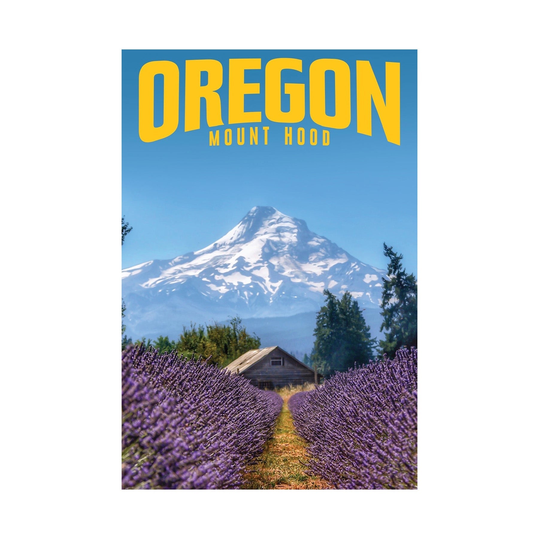 Mount Hood Postcard - Postcards - Hello From Oregon