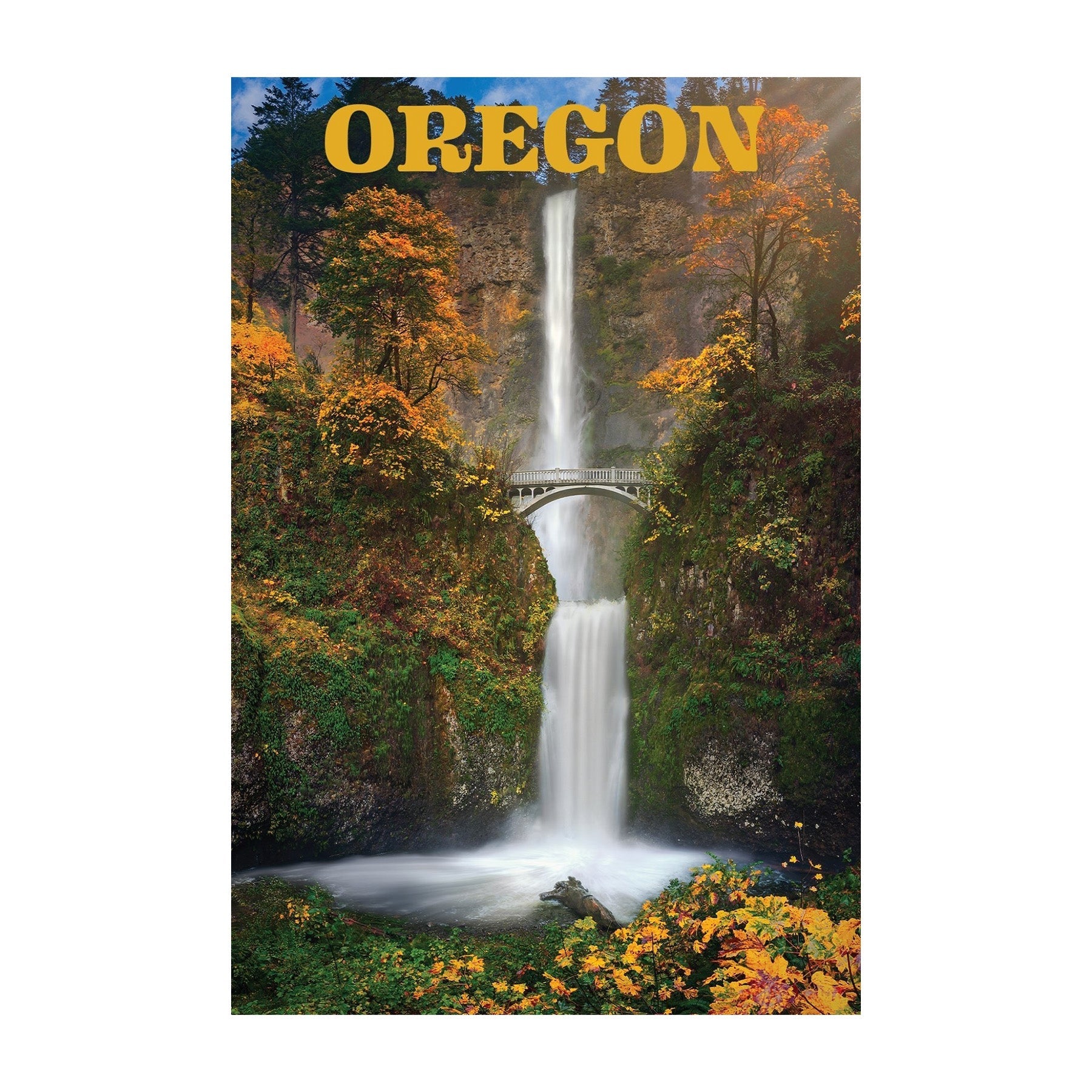 Multnomah Falls Postcard - Postcards - Hello From Oregon