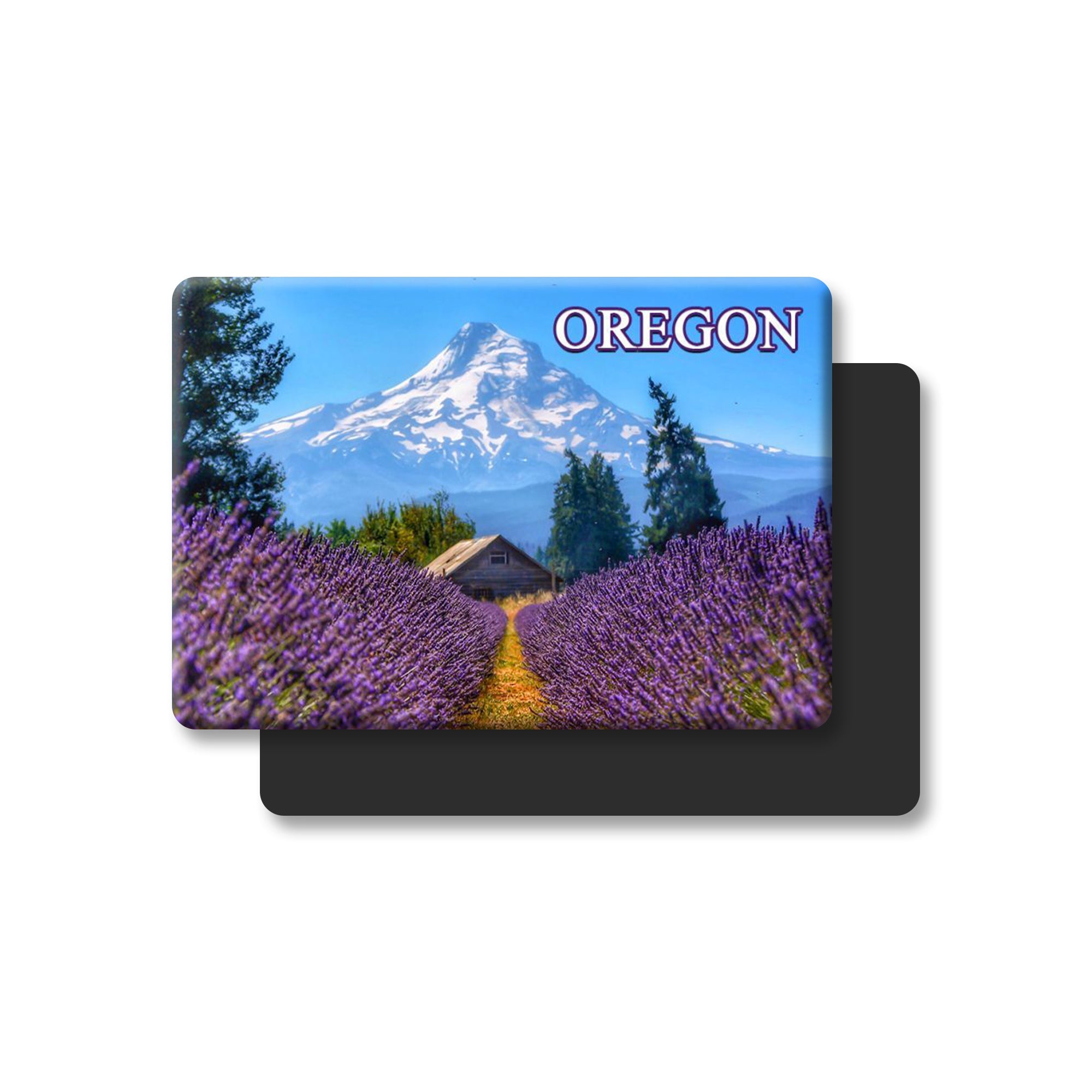 Oregon Lavender Field Magnet - Magnets - Hello From Oregon