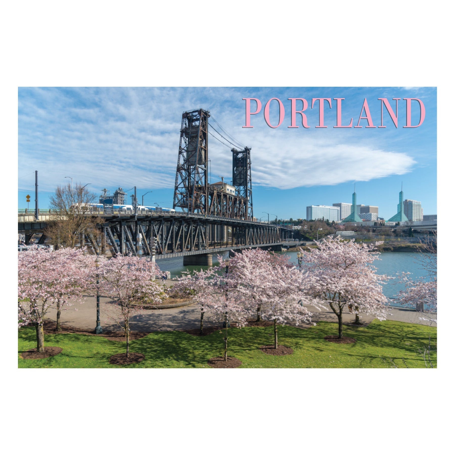 Portland Sakuras Postcard - Postcards - Hello From Oregon