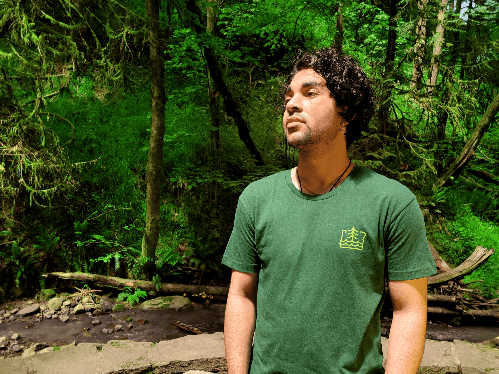 Simply Oregon Tee | Forest Green - Tees - Hello From Oregon