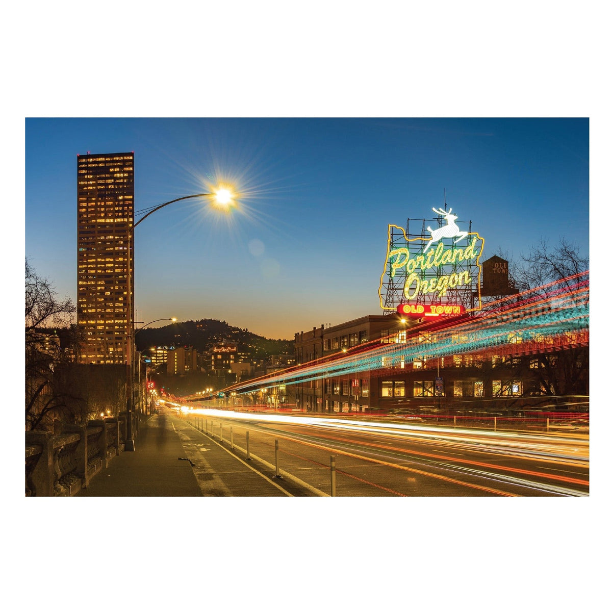 White Stag At Night Postcard - Postcards - Hello From Oregon